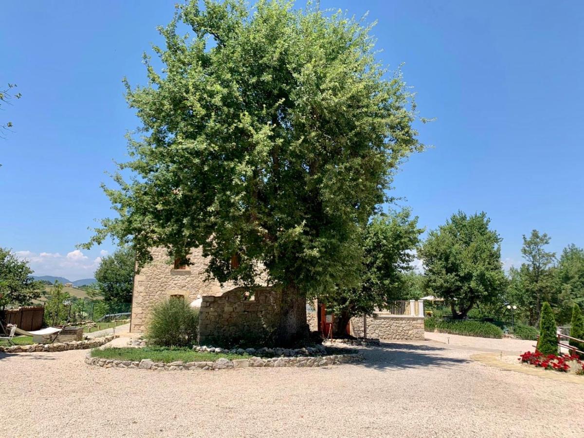 La Quercia B&B Abbateggio Exteriér fotografie